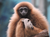 Zoo Rostock Tickets mit Hotel