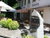 Sommer in Tirol - 4 Tage im Herzen des Zillertals