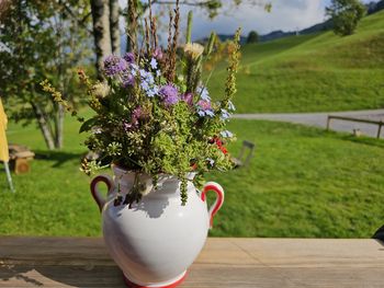 3 Tage Wanderzeit im Allgäu mit Lunchpaket & Wellness