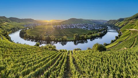 Mosel