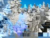 WinterMärchen am Rennsteig / 6 Tage