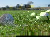 3 Tage Wellness im Nahetal - Natur & Genuss