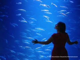 OZEANEUM Stralsund mit Ticket und Hotel