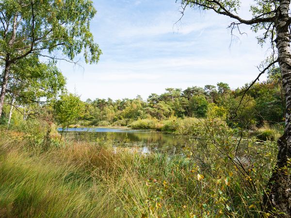 3 Tage Waldhotel in Brabant – Ruhe & Natur erleben in Oisterwijk inkl. Halbpension