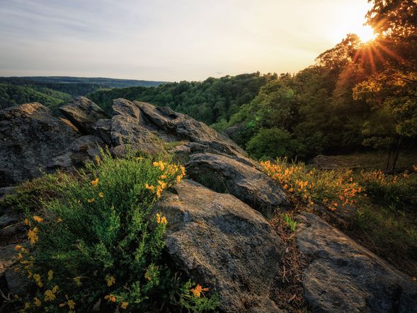 5 Tage den Harz pur erleben!