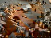 Silvester 4 Tage 2025