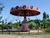 Serengeti-Park Hodenhagen mit Ticket und Hotel