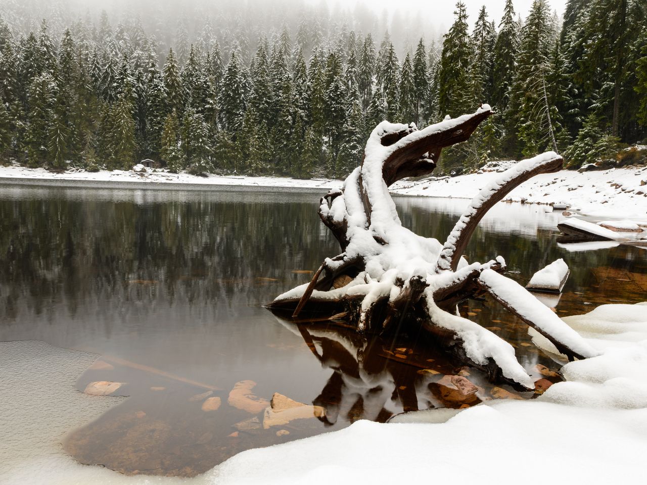 Faszination Thüringer Wald - 4 Tage inkl. Halbpension