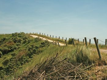 Küstenzauber an der niederländischen Nordsee - 5 Tage