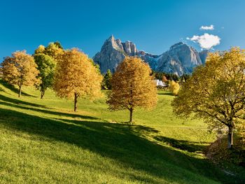 3 Tage Urlaub mit schönem Blick auf Lienzer Dolomiten