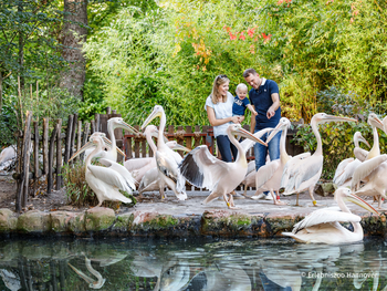 Zoo Hannover mit Übernachtung