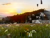 2 Tage Vita-Wellness inkl. Wellness-Verwöhnpension