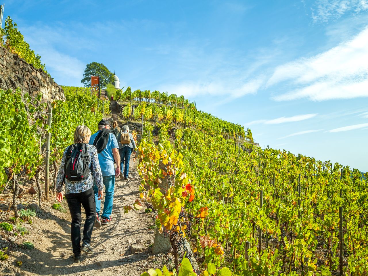 3 Tage - Mosel - Kleine Auszeit