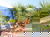 2 Tage Gardasee-Urlaub mit Frühstück