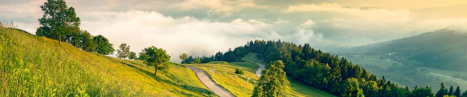 Landschaft Kärnten