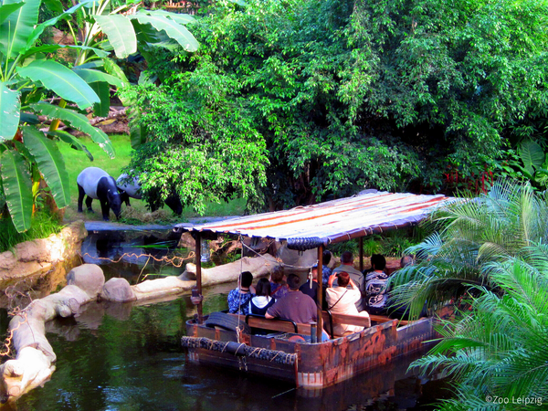 Kurztrip Zoo Leipzig in Wiedemar Halbpension