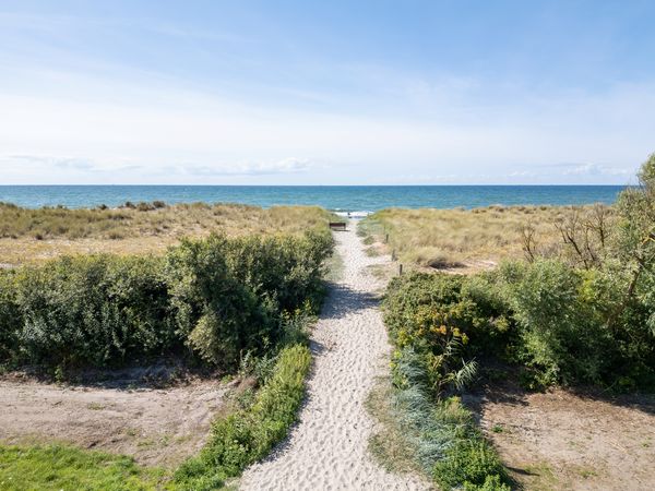 Urlaub mit 4 Pfoten: 4 Tage buddeln an der Boddenküste in Pruchten, Mecklenburg-Vorpommern Nur Übernachtung