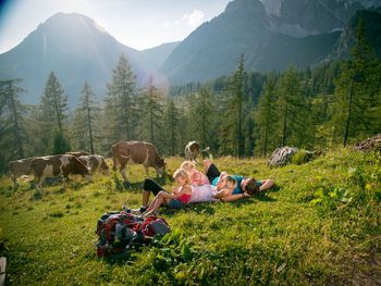 FerienZEIT in der Steiermark & Sommercard | 5 Tage