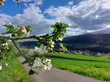 Hohenloher Land: 4 Tage Wellness & Landluft / mit HP