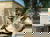 Familien-Urlaubswoche im veg. Bio-Resort 8 Tage