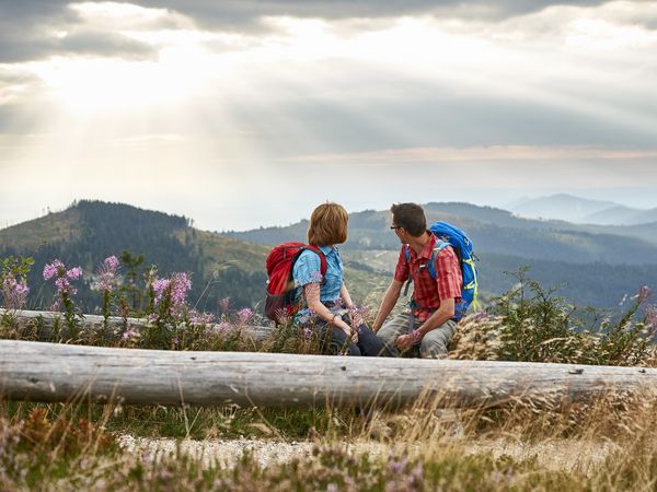 Rösslwirt’s Energietage in Lam Halbpension