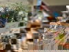 3 Tage - Therme, Cocktail & Dinner - Auszeit in NRW