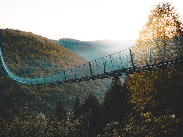 2 Tage Geierlights 2025 in Mörsdorf (Hunsrück), Rheinland-Pfalz inkl. Frühstück