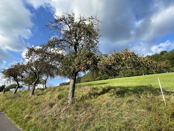 Heimatgefühl im Spessart - 2 Nächte Heimathenhof