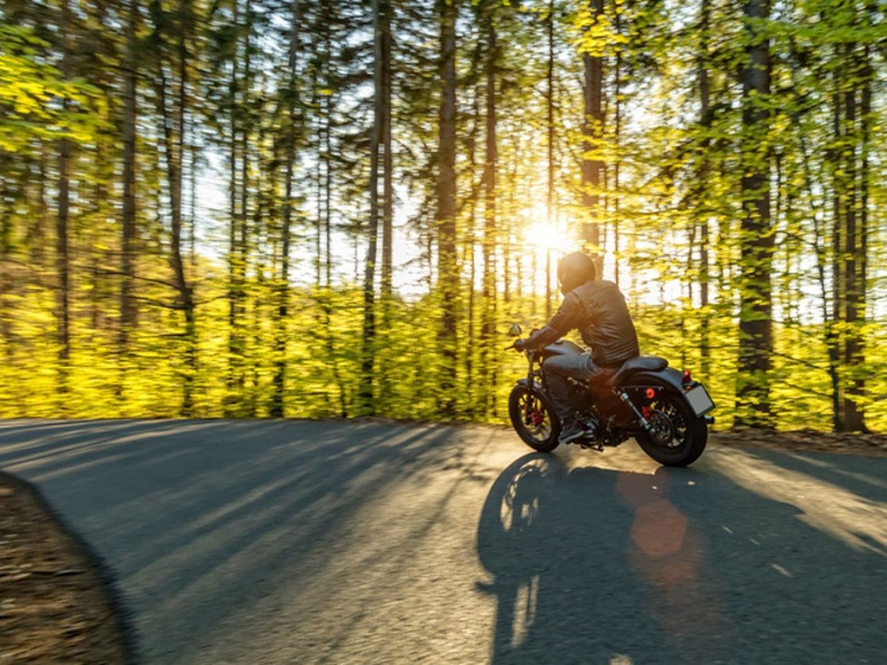 Die Große Auszeit im Schwarzwald