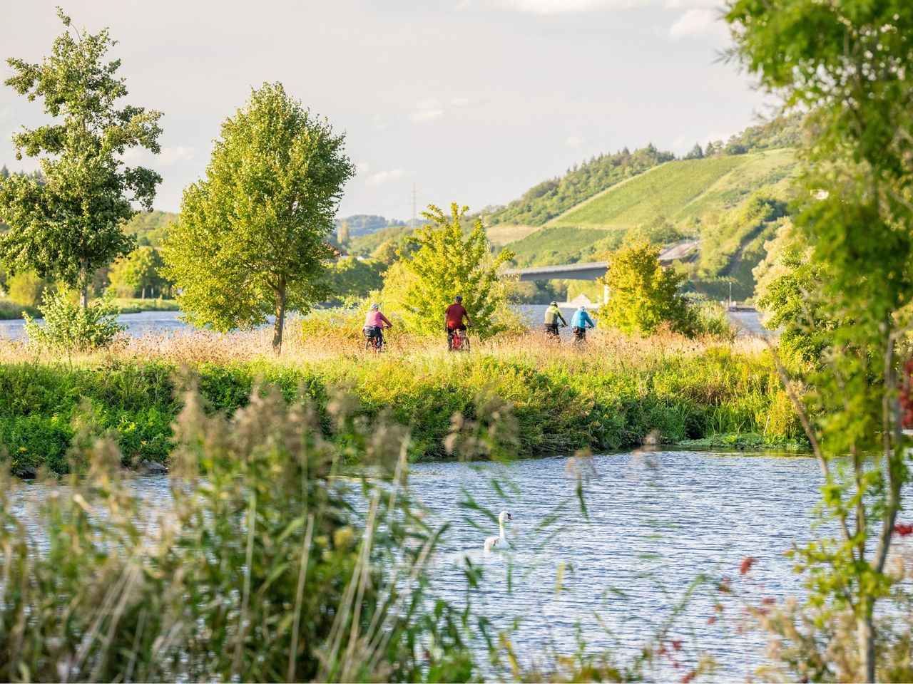 Kleine Auszeit an der Saar nahe der Mosel