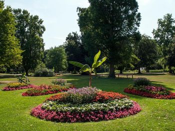 2 Tage auf vier Pfoten in der Wetterau