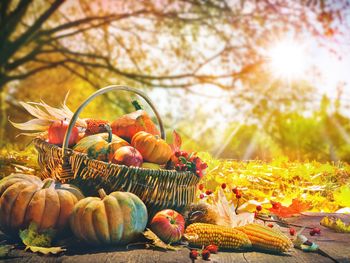 Herbstliche Auszeit im Apfelland- 2 Nächte