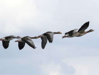 Winterauszeit im Gutshaus inkl. Sauna & Aperitif 3 Tage