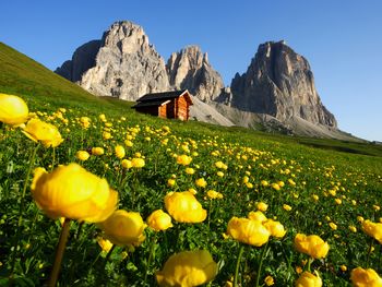Bergfrische tanken – 7 Nächte Dolomites Inn
