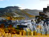 Moselidylle & Altstadtflair I 3 Tage Bernkastel-Kues