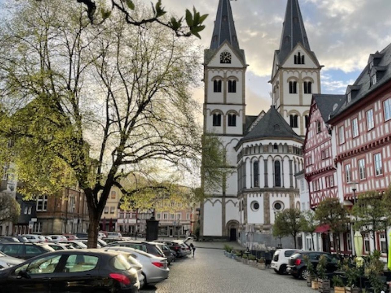 Rhein-Sommer-Spezial