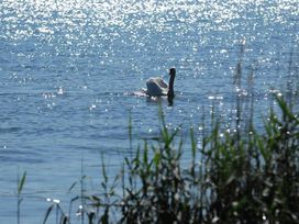 3 Tage Auszeit am Bodensee im Hotel Mein Inselglück