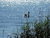 3 Tage Auszeit am Bodensee im Hotel Mein Inselglück