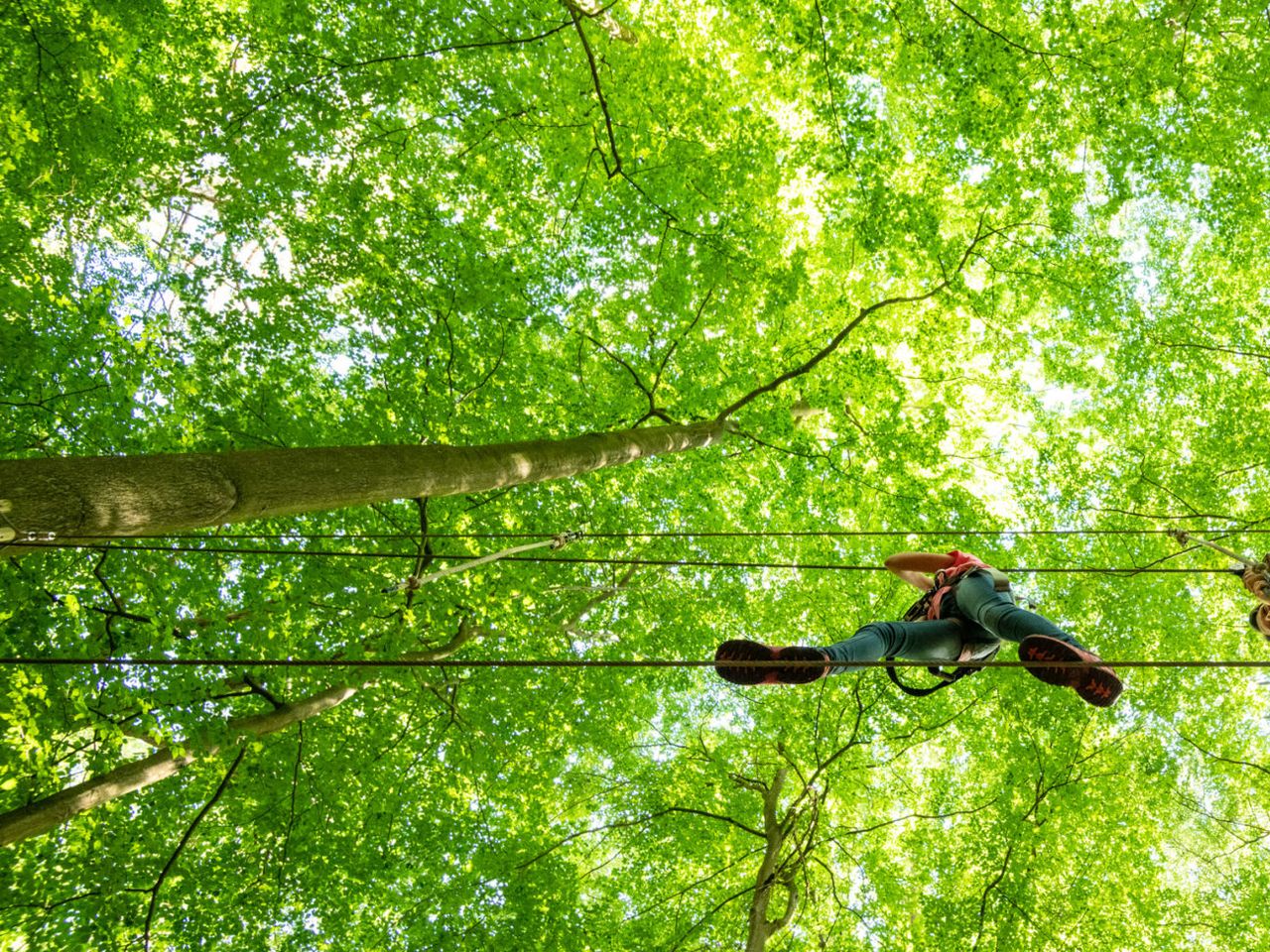 3 Tage Familienauszeit mit Waldabenteuer!