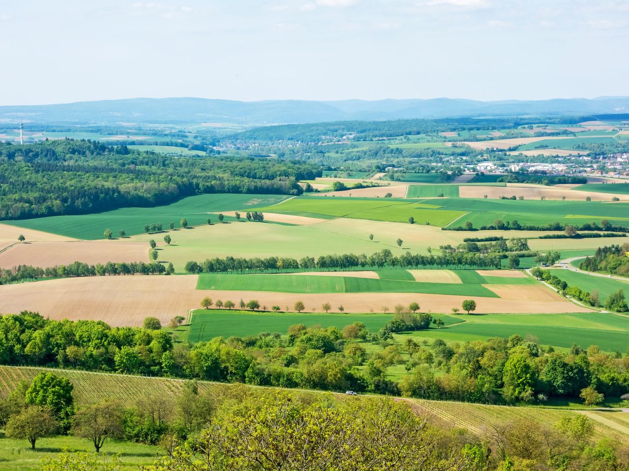 Sommer-Special im Kraichgau mit Therme & Abendessen