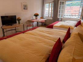 2 Tage Universitätsstadt Heidelberg erleben