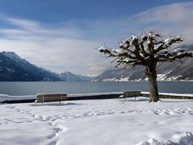 5 entspannte Tage am Brienzer See mit HP