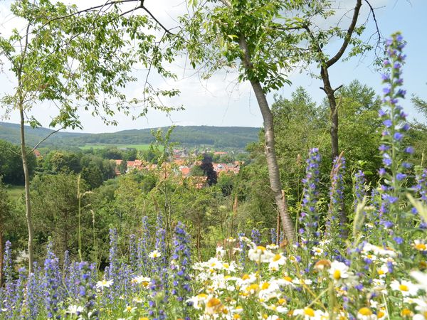Jägerhof Wohlfühltage mit Thermenbesuch in Willebadessen Halbpension