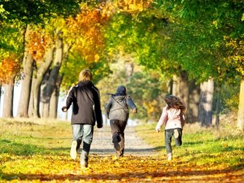 5 Tage Herbsturlaub am Lübbesee in Brandenburg