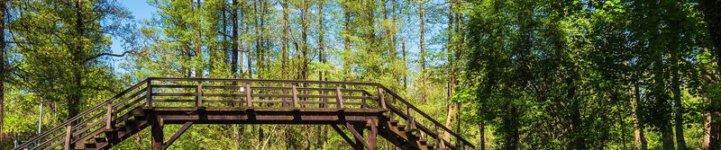 Hölzerne Bogenbrücke über einen Fließ im Spreewald