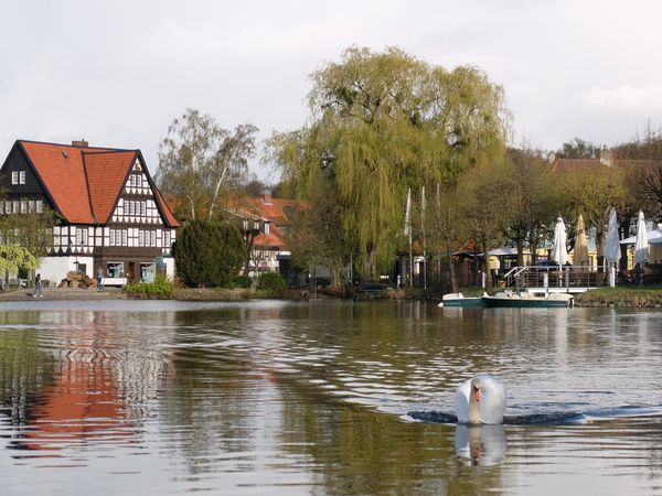 2 Tage Adam & Eva Kuscheltage im Harz in Ilsenburg (Harz), Sachsen-Anhalt inkl. Halbpension