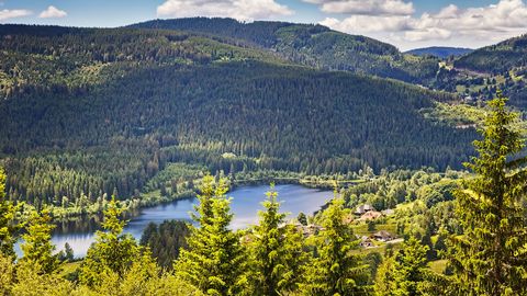 Schluchsee im Schwarzwald