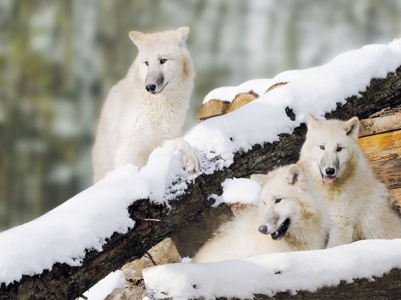 8 abenteuerliche Tage in der Natur