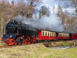 Quedlinburg entdecken - 3 Tage & Selketalbahn-Fahrt