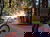Familien-Urlaubswoche im veg. Bio-Resort 8 Tage